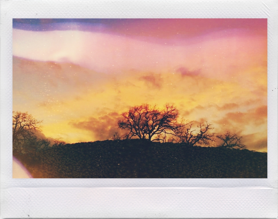 You are the&nbsp;Sun.