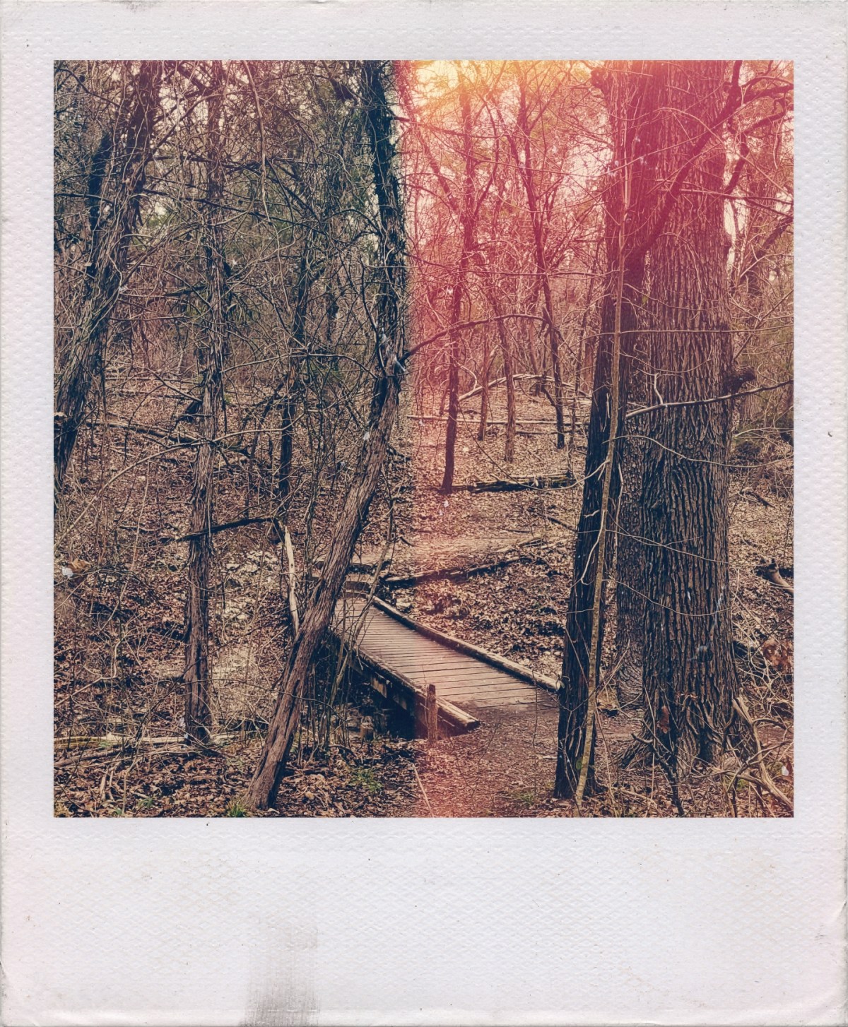 I will miss my&nbsp;friend.