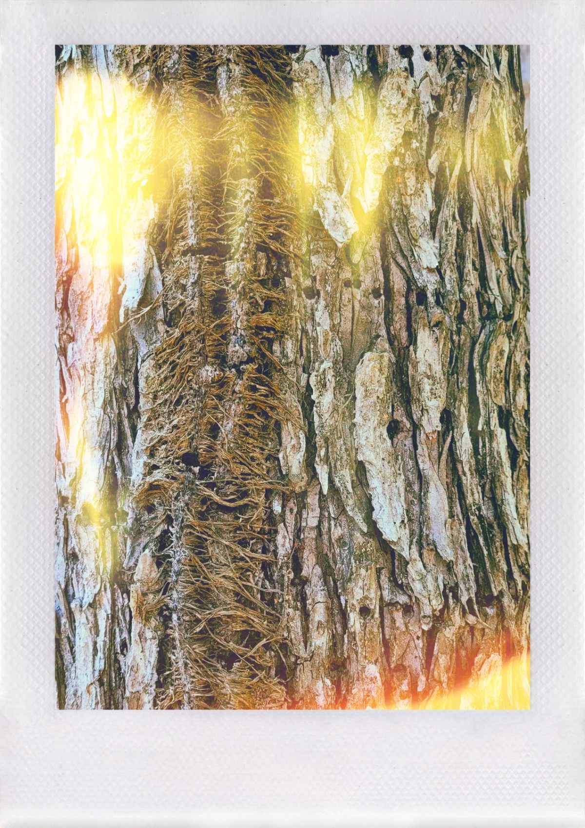 When my brother turned&nbsp;9.