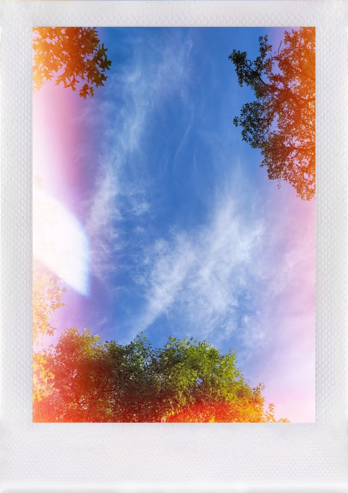 A Perfect Day – Eleven Years&nbsp;Ago.