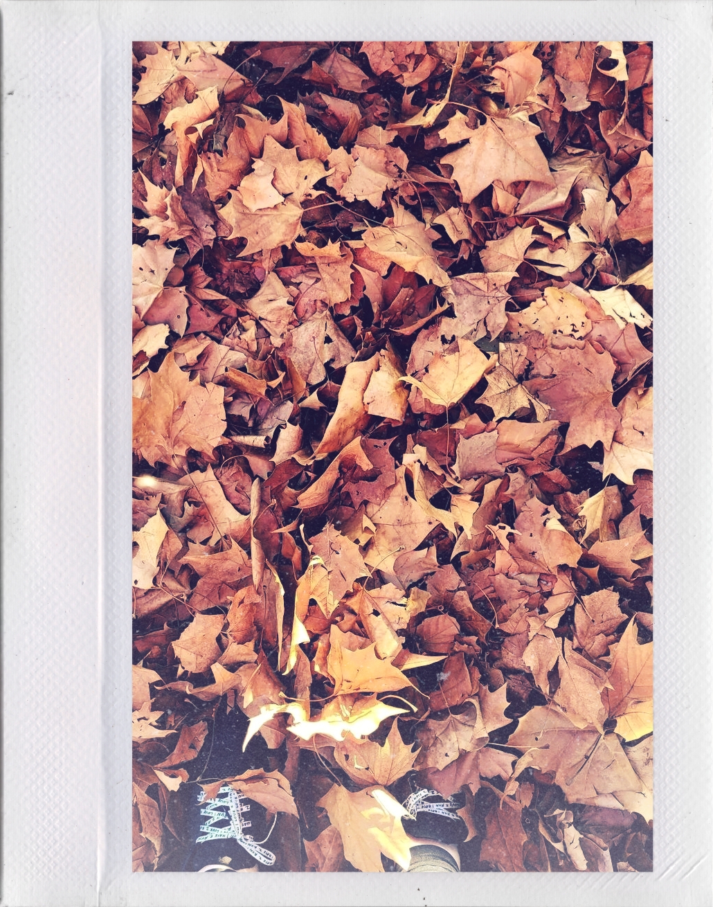 Seasons change, but I&nbsp;don’t.