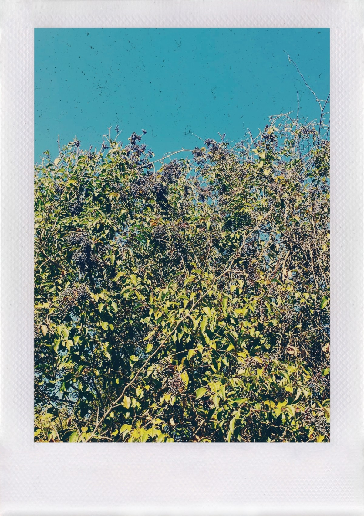 Do you regret&nbsp;it?