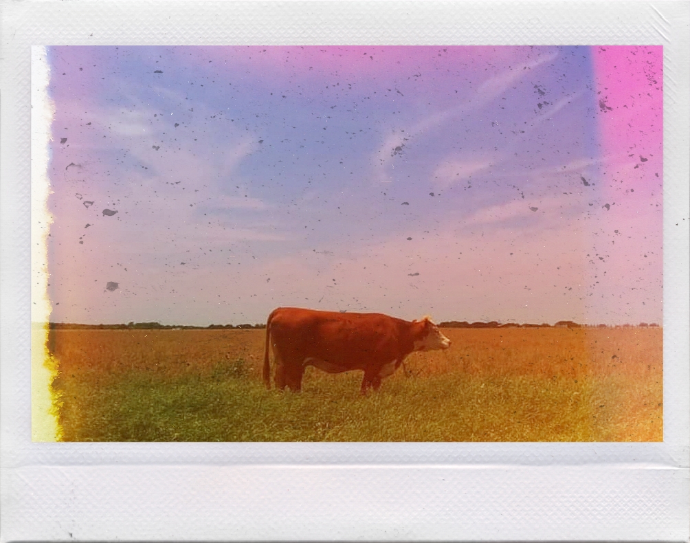 Stay for a little&nbsp;while.