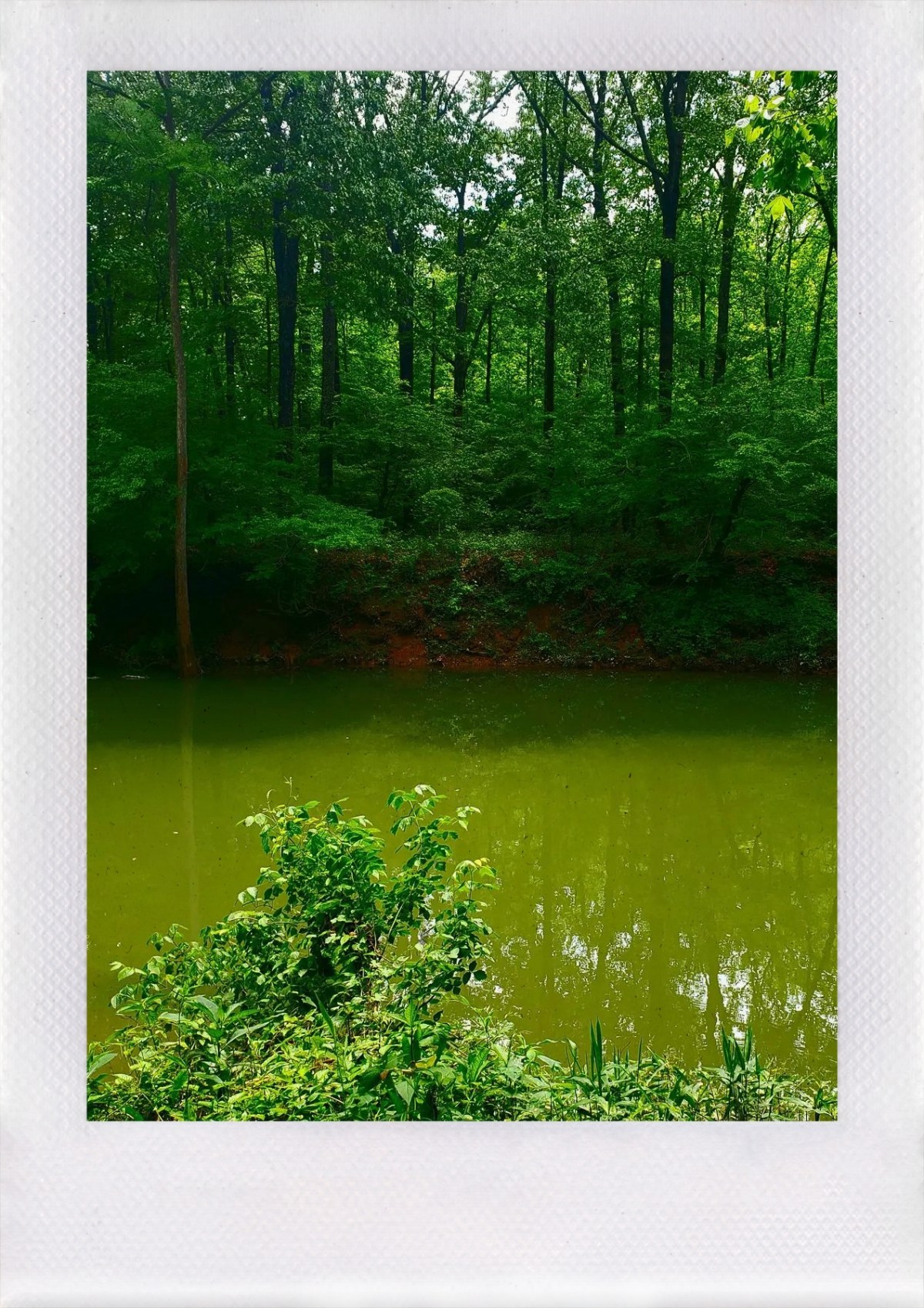 What do you&nbsp;think?