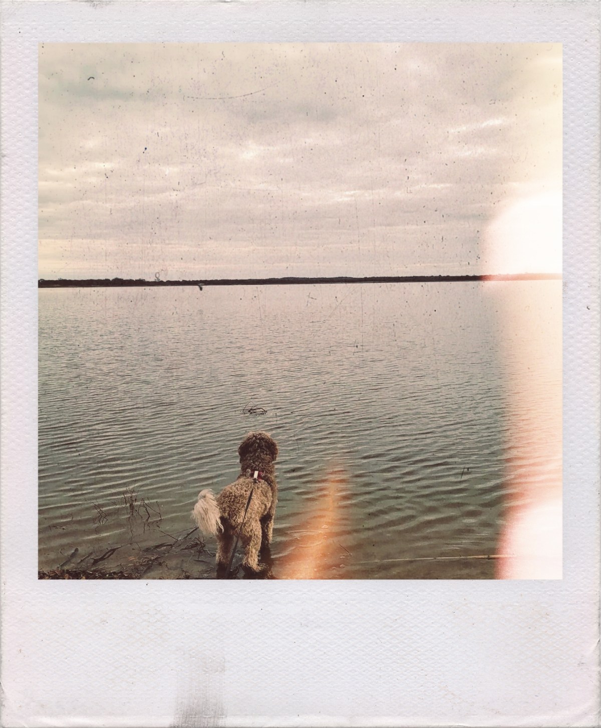 I’m so sorry for your&nbsp;loss.