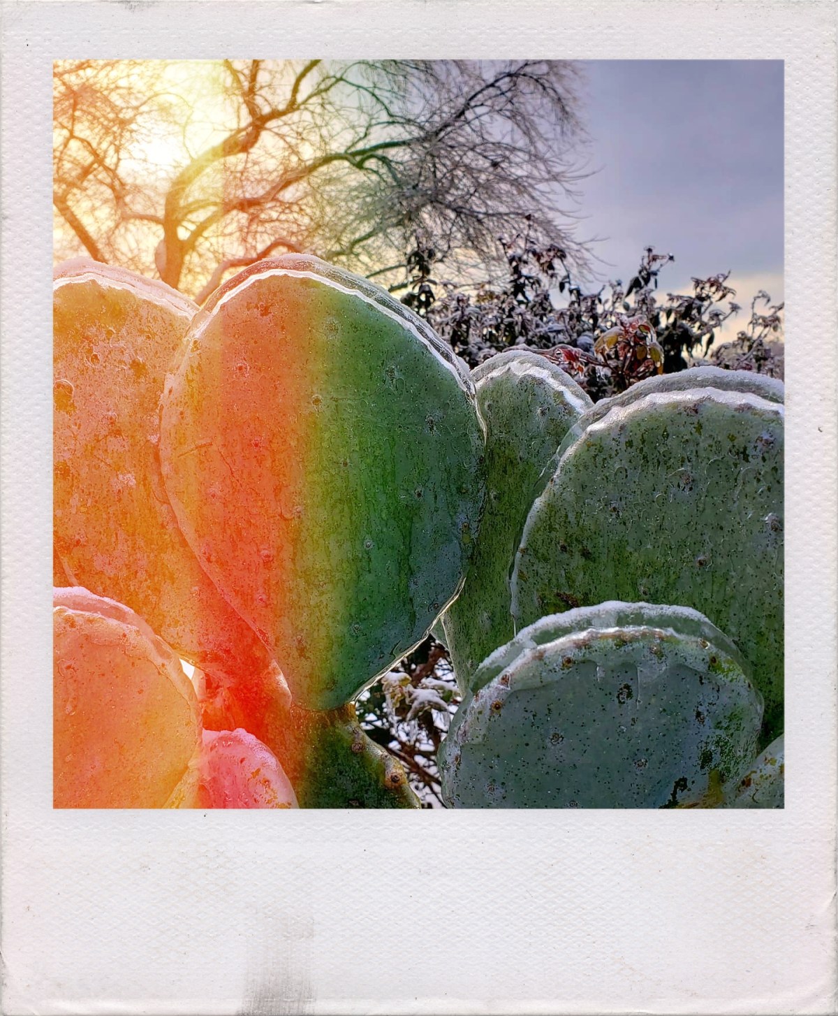 Don’t let go of my&nbsp;hand.