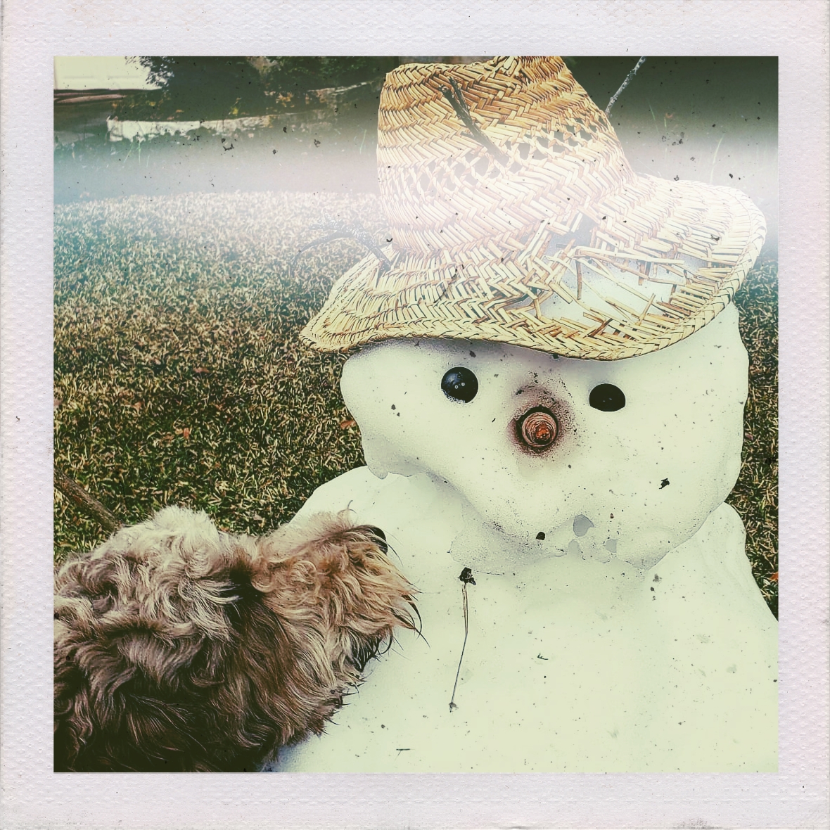 Do stray dogs go to&nbsp;heaven?